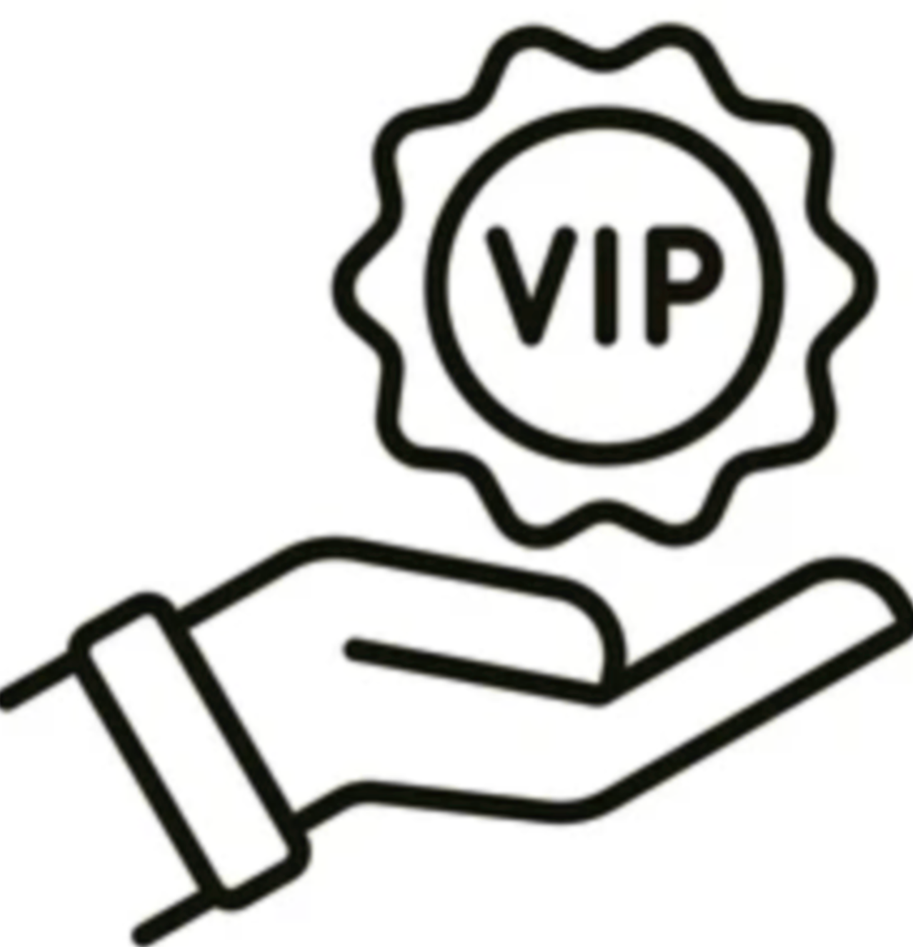 V.I.P Support